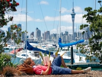 Reading a book in Auckland