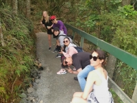 Walk-Group